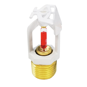 1674835643520082.jpg EH001.jpg